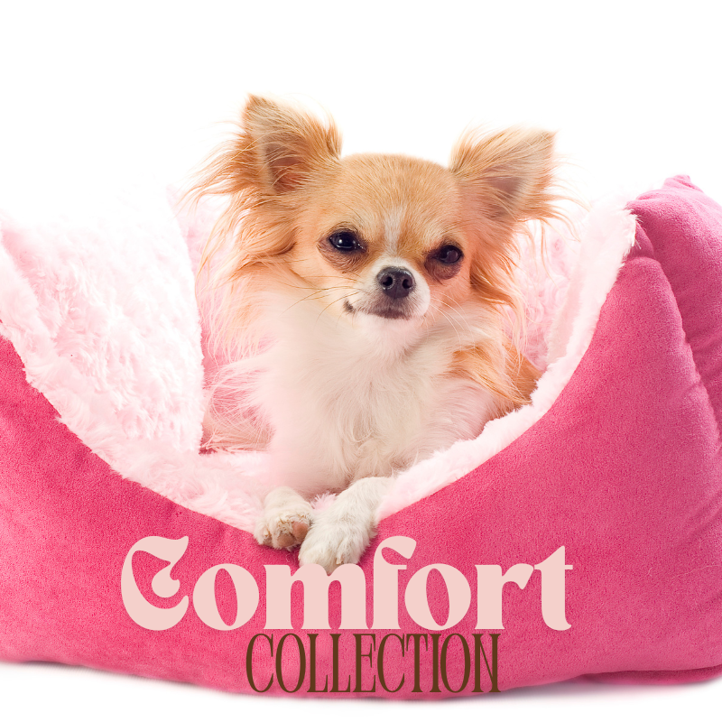 Comfort Collection